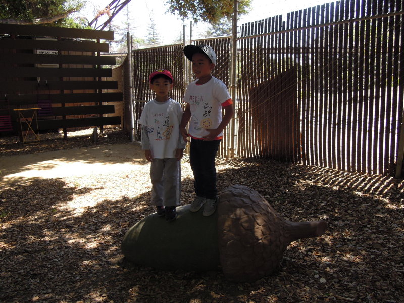 DSCN8770.JPG