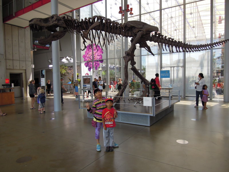 DSCN9230.JPG
