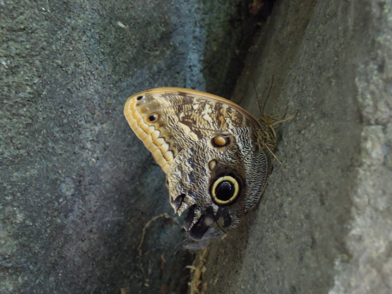 DSCN9239.JPG