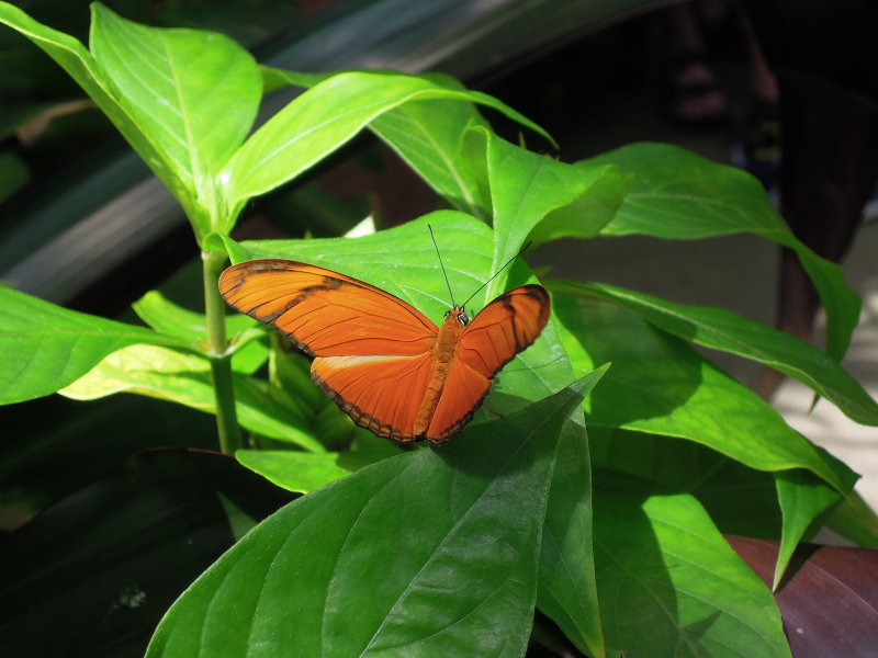 DSCN9260.JPG