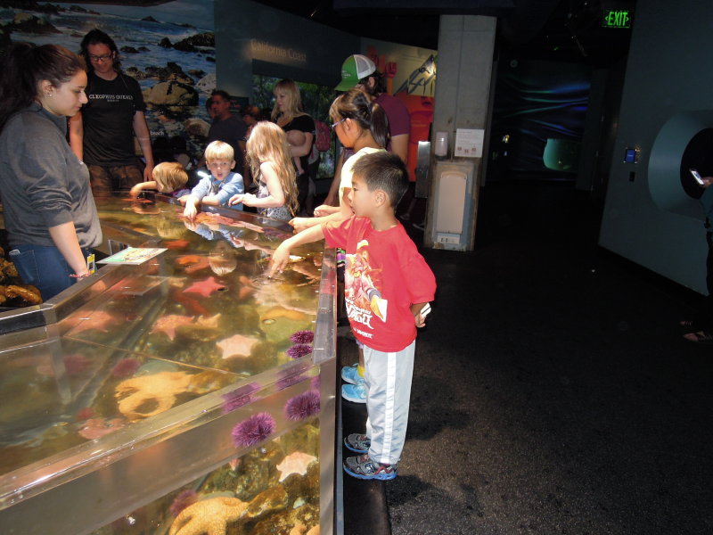 DSCN9270.JPG