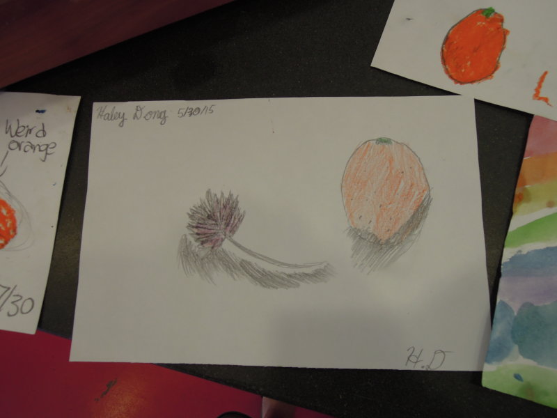 DSCN9322.JPG