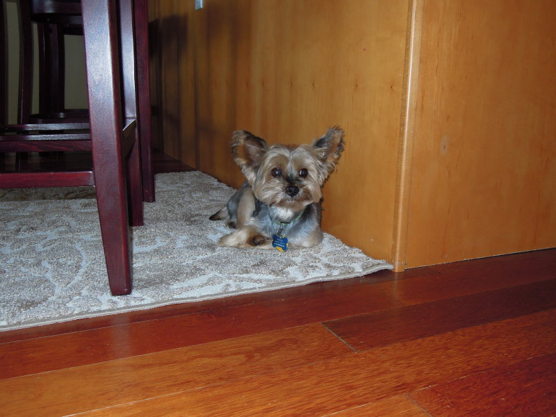 DSCN9367.JPG