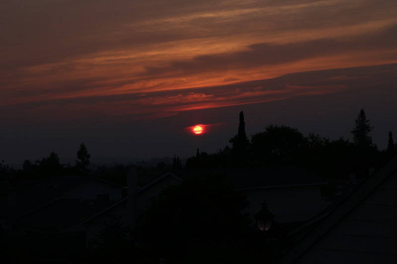 IMG_0663.JPG