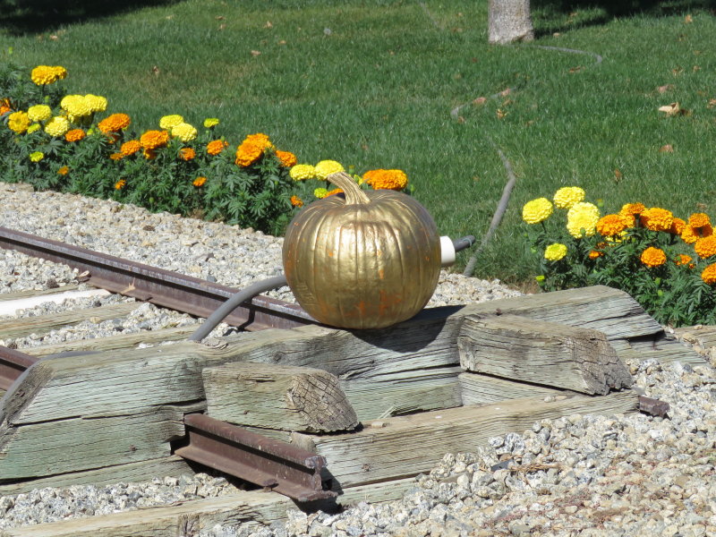 IMG_1710.JPG
