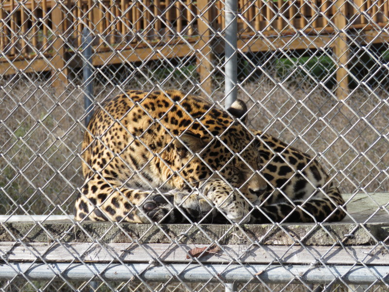 IMG_2667.JPG