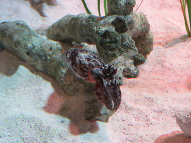 IMG_2841.JPG