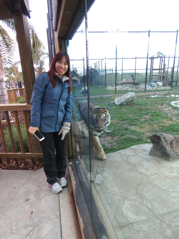 IMG_2705cn.JPG