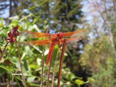 DSCN9724.JPG