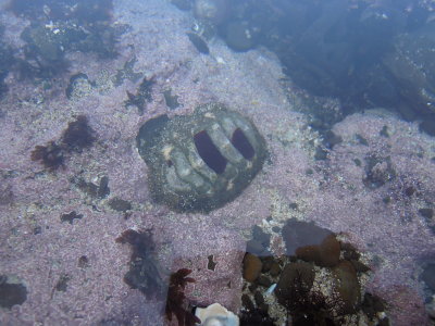 DSCN1795.JPG