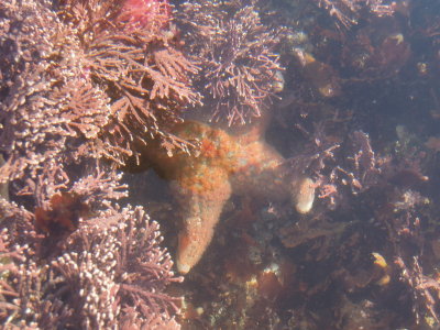 DSCN1798.JPG