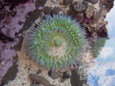 DSCN1800.JPG
