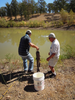 DSCN5958.JPG