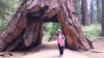 20150616_135146.jpg
