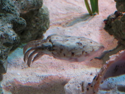IMG_2840.JPG