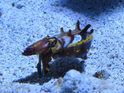 IMG_2844.JPG