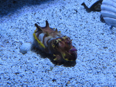 IMG_2846.JPG