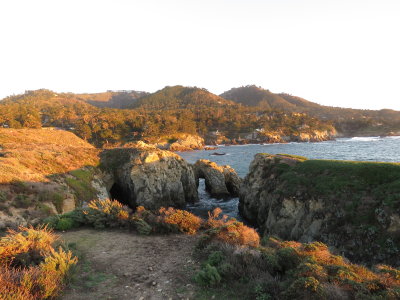 IMG_2980.JPG
