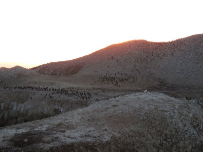 IMG_2986.JPG