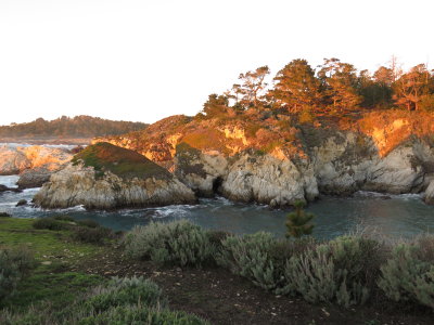 IMG_3004.JPG