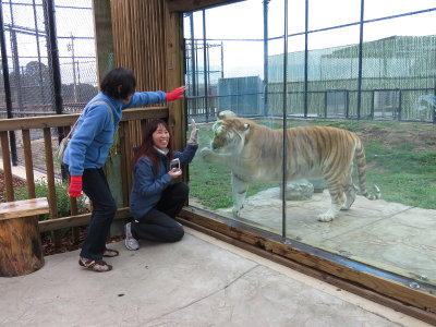 IMG_2729cn.JPG