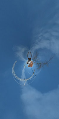 craneworldpano2xvertworld4.jpg