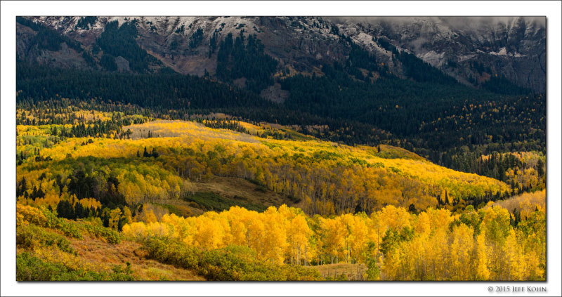 Fall Colors Along Last Dollar Rd, Uncompahgre National Forest, Colorado, 2015