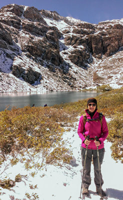 Heather at Cathedral Lake
