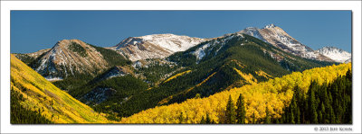 Aspen Colors, White River National Forest, Colorado, 2013