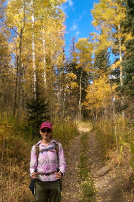 In the Aspens on the Blaine Basin Trail