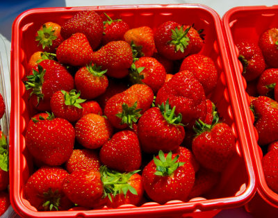 156226125_e4TV36zz_strawberries.jpg