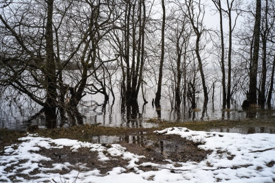  Loch_Lomond_25mm  .jpg