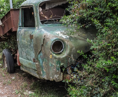  Rusting_ away