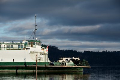 Rhododenron ferry