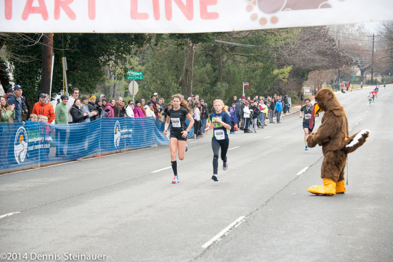 ds20141127-0315 w.jpg
