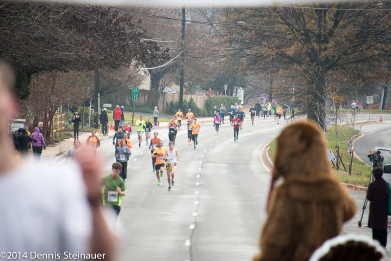 ds20141127-0372 w.jpg