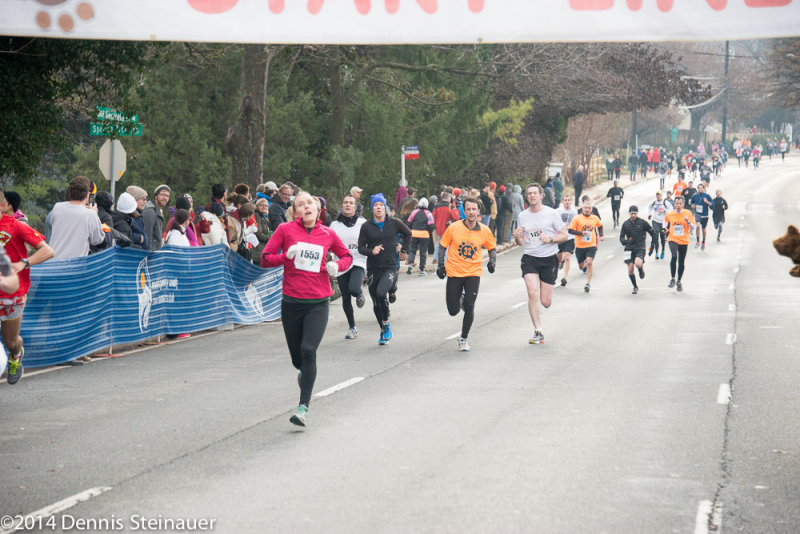ds20141127-0409 w.jpg