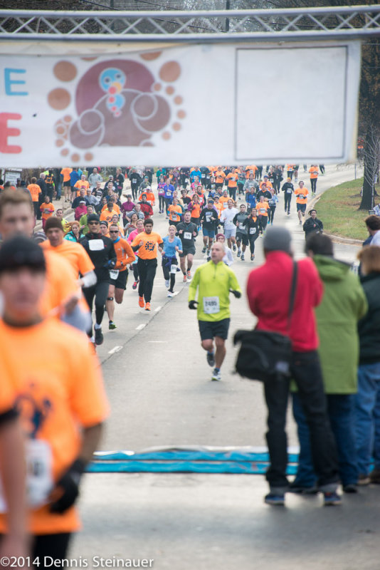 ds20141127-0526 w.jpg