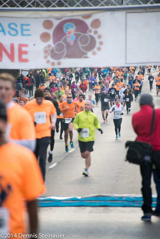 ds20141127-0528 w.jpg
