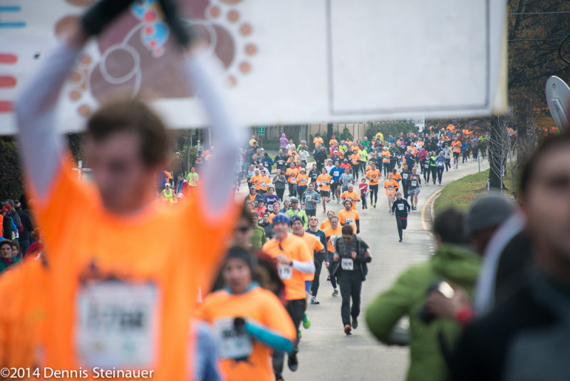ds20141127-0541 w.jpg
