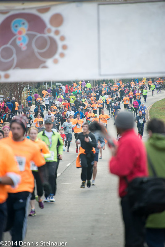 ds20141127-0546 w.jpg