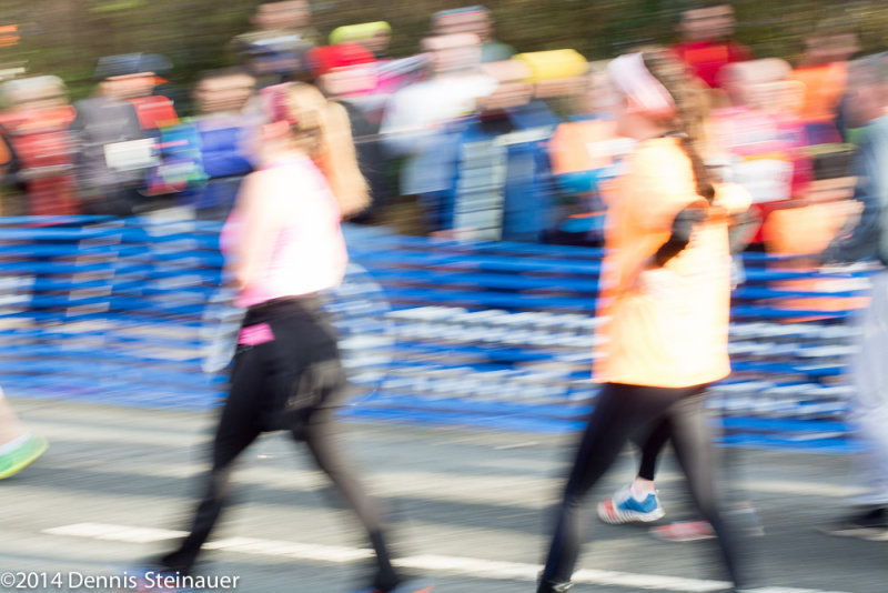 ds20141127-0600 w.jpg