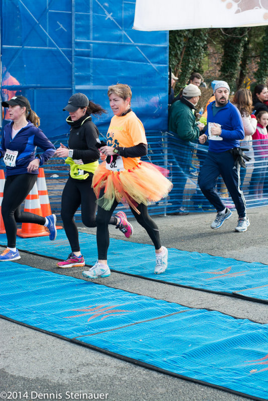 ds20141127-0618 w.jpg