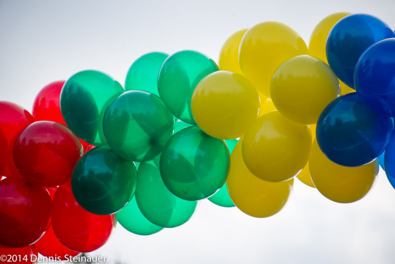 ds20141127-0651 w.jpg