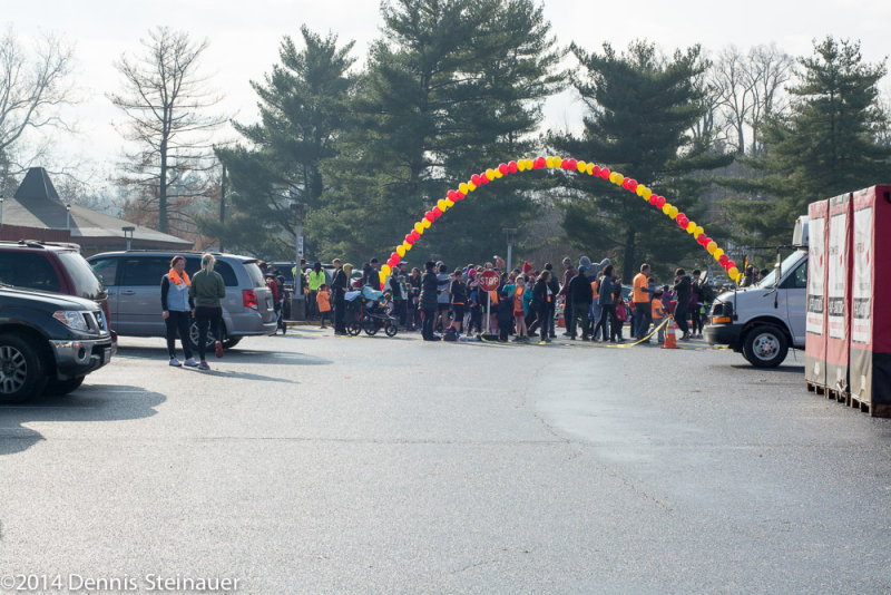 ds20141127-0758 w.jpg