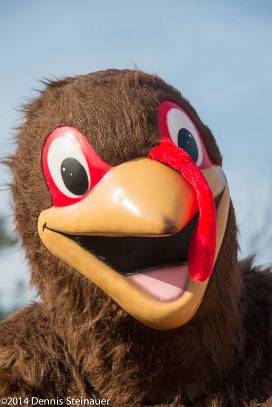 ds20141127-0771 w.jpg