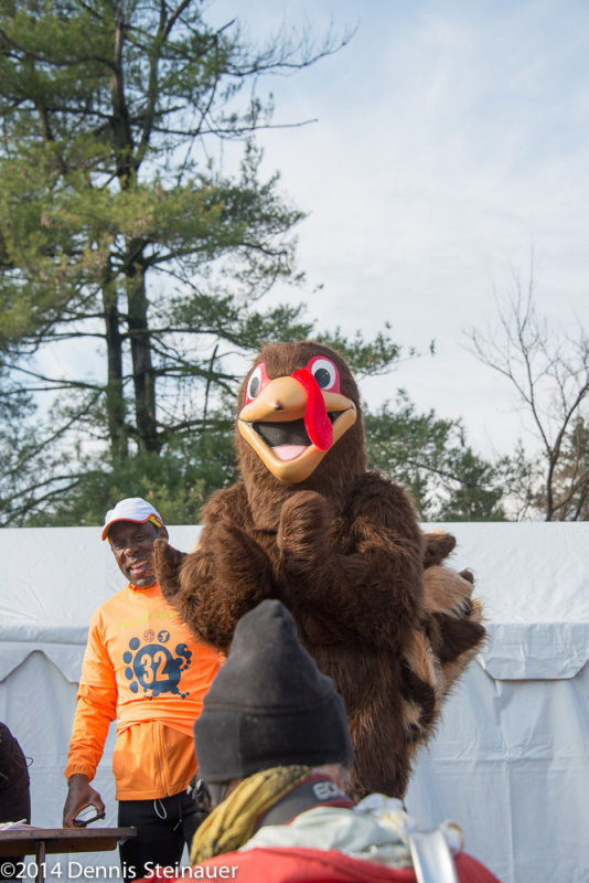 ds20141127-0807 w.jpg