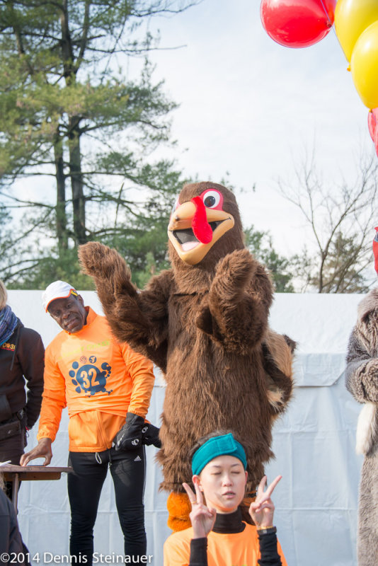ds20141127-0811 w.jpg