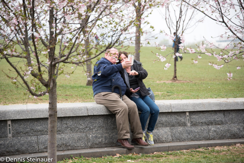ds20150410-0026w.jpg