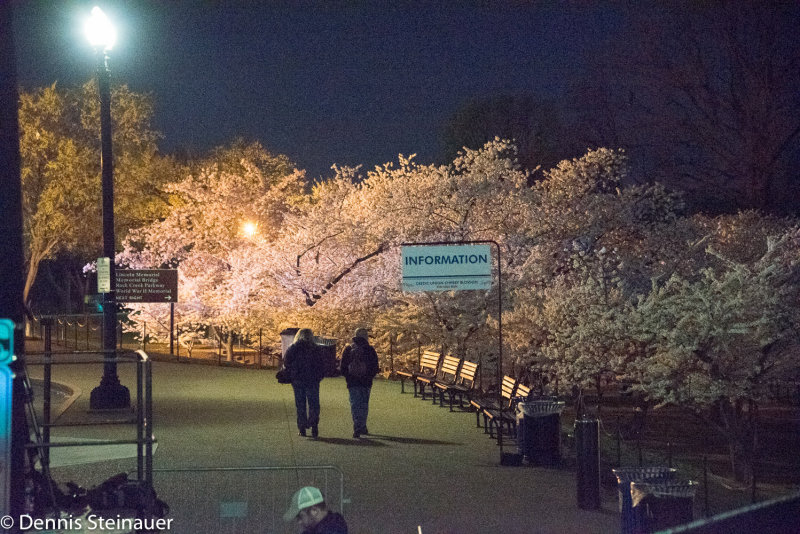 ds20150412-0164w.jpg